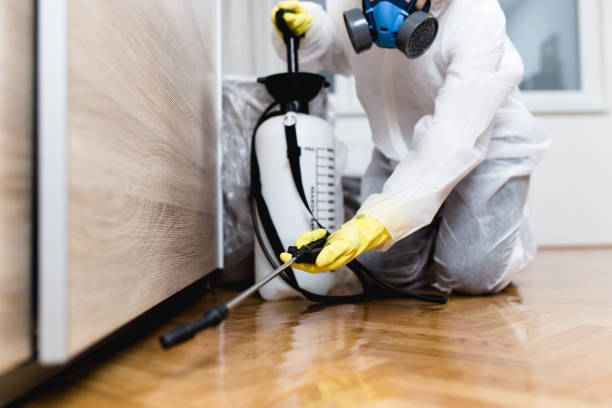 Best Insect Control  in Linden, TN