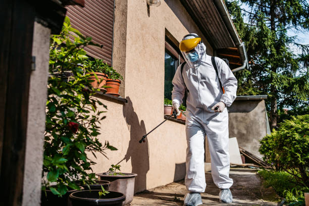 Best Best Pest Control Companies  in Linden, TN