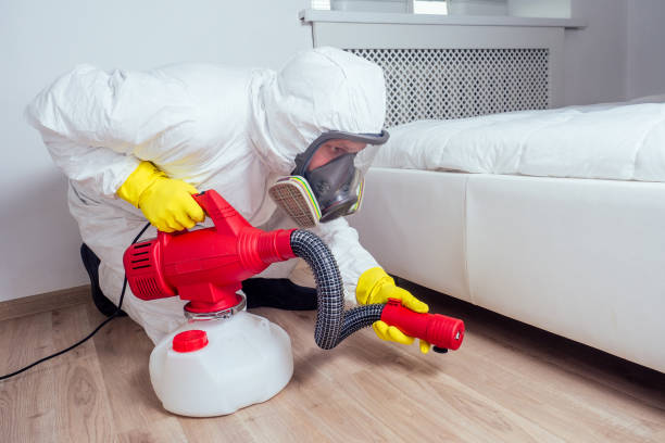 Best Wasp Removal Services  in Linden, TN