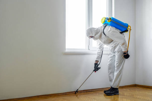 Best Rat Extermination Near Me  in Linden, TN