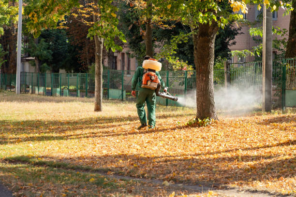Best Flea Control Services  in Linden, TN