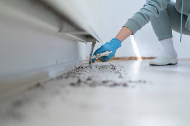  Linden, TN Pest Control Pros